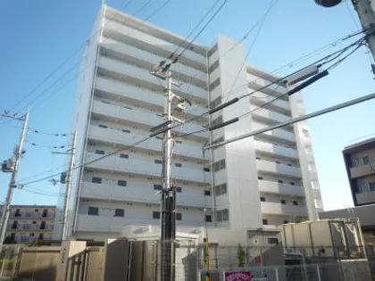 FELICIAうさぎの画像