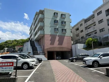 サンプラスパの画像