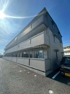 ビスターレの画像