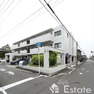 カーサソロチョウの画像