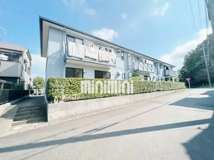 NTヴィレッヂC棟の画像