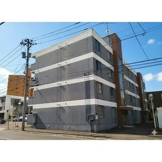 ガーデンコアコスモスの画像