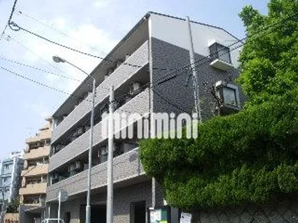 コーラル観月の画像