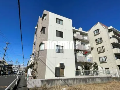 ブランチP Sの画像