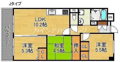 サニーコットン住之江【3階】の間取り