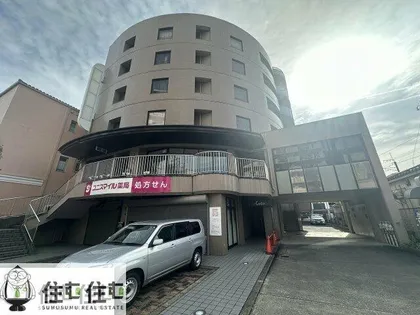 SUN CEDARの画像