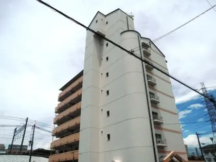 トゥエルブイナバソウの画像