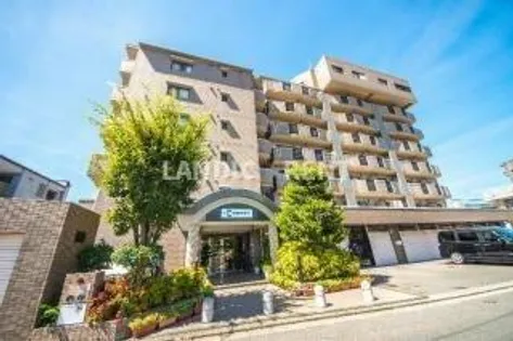 コスモコートの画像