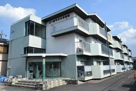 コーポラス大洋向島の画像