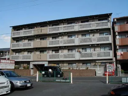 フォレスト27の画像