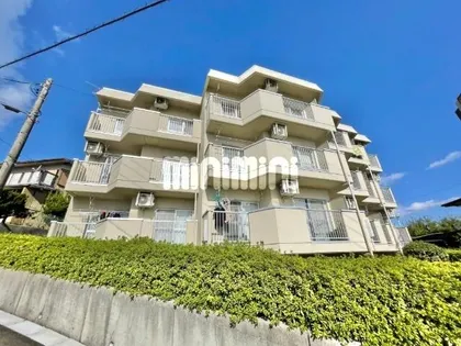 サンマルセの画像