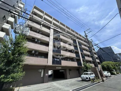 グレイス丸萬の画像