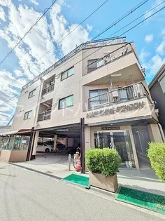 プラムシャインセンボンの画像