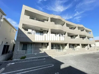 ブルーローズの画像