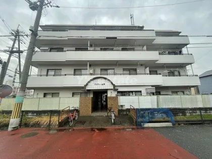 アクティ金田の画像