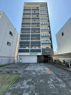 グレースエビスの画像