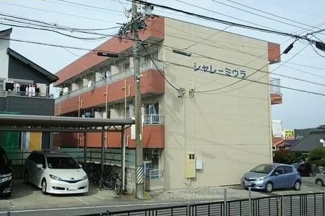 シャレーミウラの画像