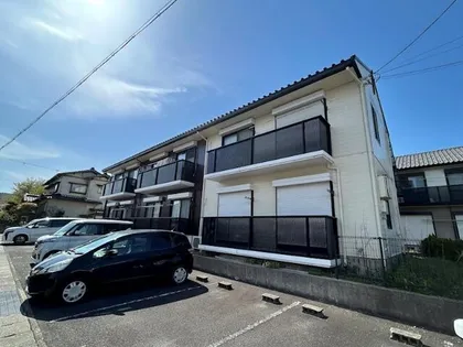 ルピナスBの画像