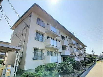 百舌鳥本町住宅3棟の画像