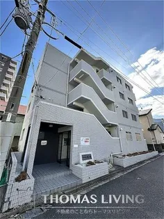 シャトレ紅梅の画像