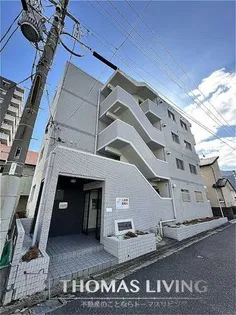 シャトレ紅梅の画像