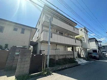 グンゲニューロジングの画像