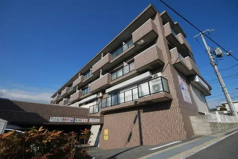 フレックスの画像