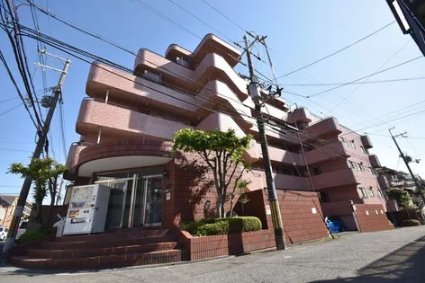 レオハイム東山【5階】の外観