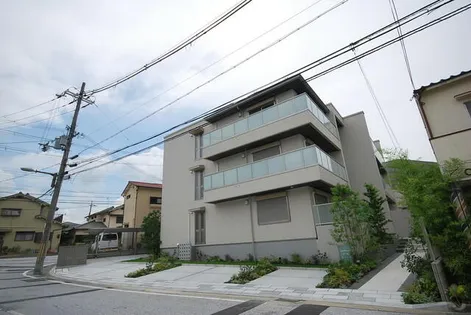 SHAMAISONT Kの画像