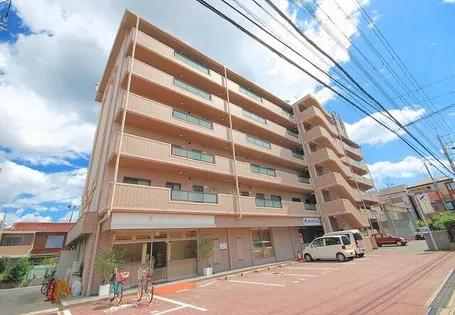 プランドールの画像