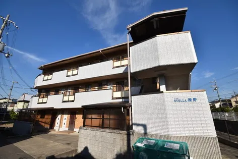 ステラ幾野の画像