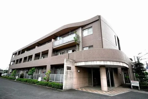 エバーグリーンの画像