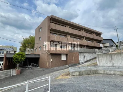 コートレージュⅡの画像