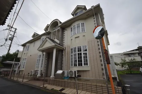 ドミシル乾の画像