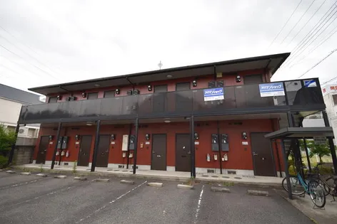 南国スターブルの画像