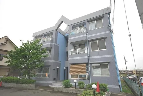 チェリー広野の画像