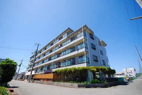 エクセランの画像