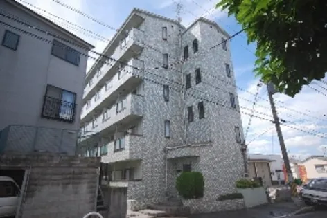 コレクション津田の画像