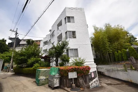 デベロップハイツの画像