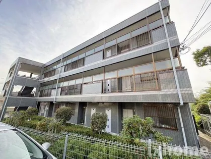 エクセル舞音の画像