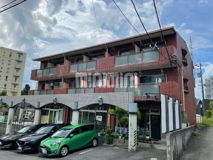 ビバエスペランサの画像