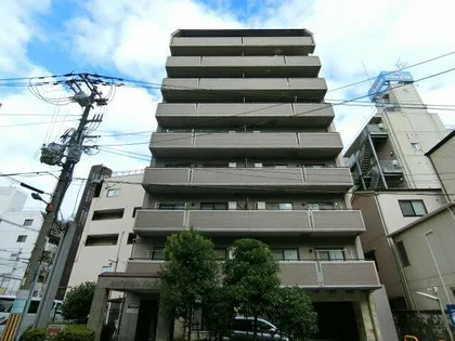 GATHERIA PACEの画像