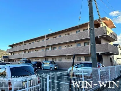 エバードリームの画像