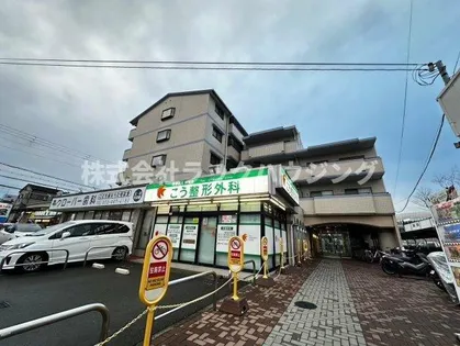 クレール白鳩の画像