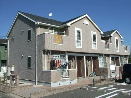 サンライト藤の画像