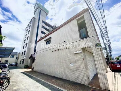 ハイグレード志紀の画像