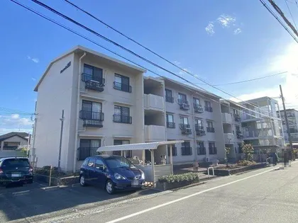 サンシャイン濱田の画像