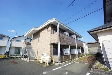 シオン フクシアの画像