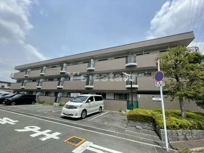 メゾン光陽の画像