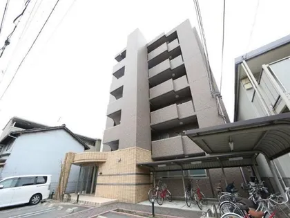 アピエ黄金の画像